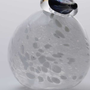 Birds Snow Finch 0042