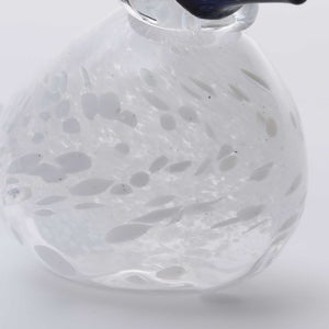 Birds Snow Finch 0044