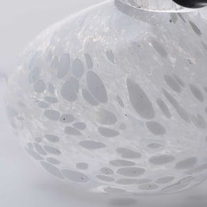 Birds Snow Finch 0045