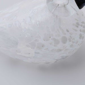 Birds Snow Finch 0046