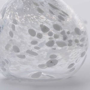 Birds Snow Finch 0047