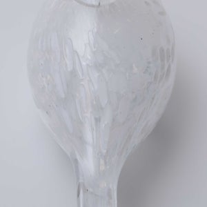 Birds Snow Finch 0048