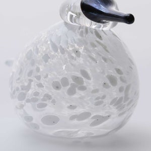 Birds Snow Finch 0049