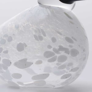 Birds Snow Finch 0050