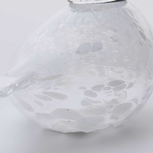 Birds Snow Finch 0051