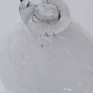 Birds Snow Finch 0052