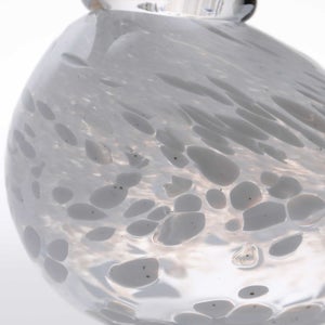 Birds Snow Finch 0053