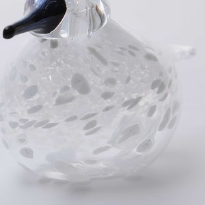 Birds Snow Finch 0054