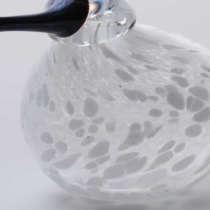 Birds Snow Finch 0056