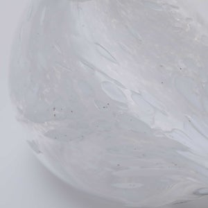 Birds Snow Finch 0057