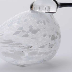 Birds Snow Finch 0058