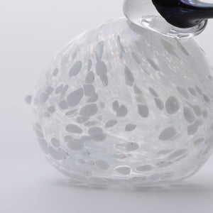 Birds Snow Finch 0062