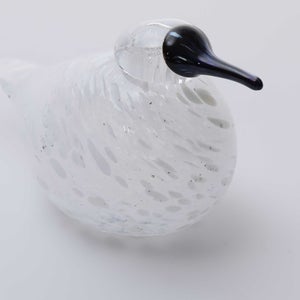 Birds Snow Finch 0063