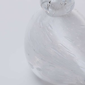 Birds Snow Finch 0064