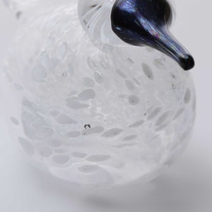 Birds Snow Finch 0065