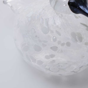 Birds Snow Finch 0066