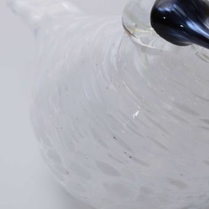 Birds Snow Finch 0067