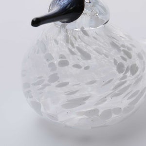 Birds Snow Finch 0068