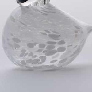 Birds Snow Finch 0069