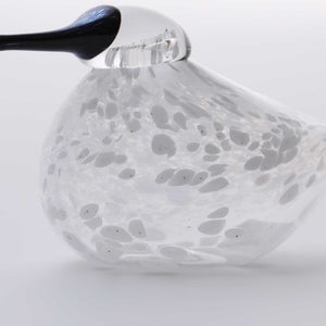 Birds Snow Finch 0017