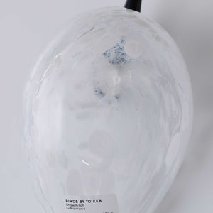 Birds Snow Finch 0019