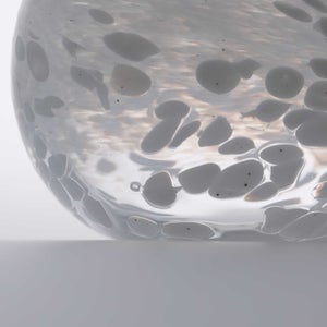 Birds Snow Finch 0069