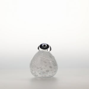 Birds Snow Finch 0005