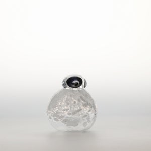 Birds Snow Finch 0006