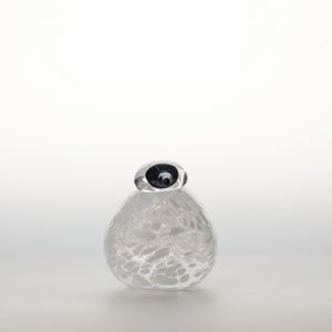 Birds Snow Finch 0007