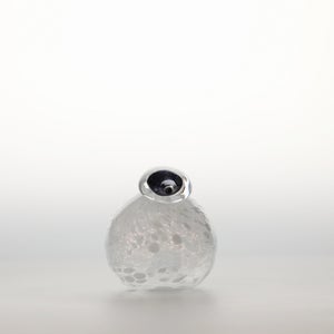 Birds Snow Finch 0008