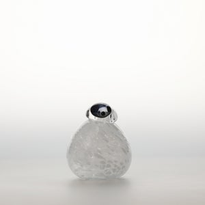 Birds Snow Finch 0009