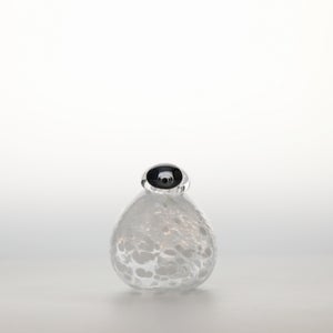 Birds Snow Finch 0010