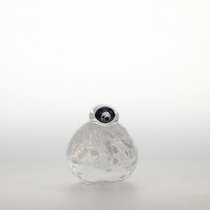 Birds Snow Finch 0011