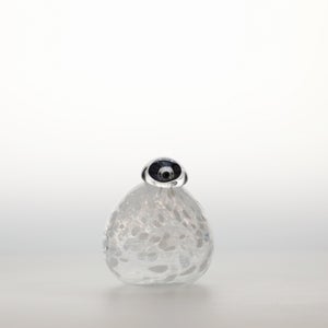 Birds Snow Finch 0012