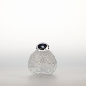 Birds Snow Finch 0013