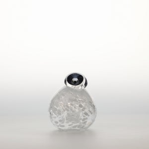 Birds Snow Finch 0014