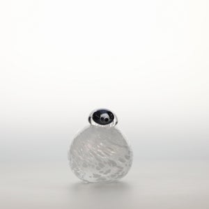 Birds Snow Finch 0016