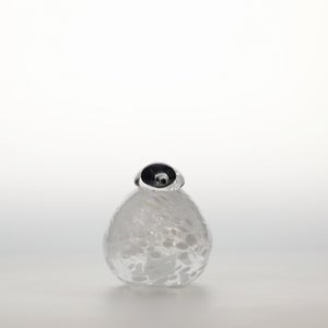 Birds Snow Finch 0018