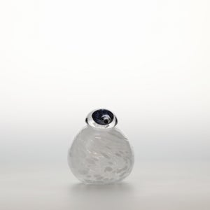 Birds Snow Finch 0025