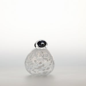 Birds Snow Finch 0026