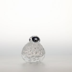 Birds Snow Finch 0027