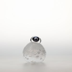 Birds Snow Finch 0028