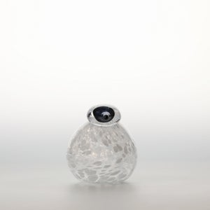 Birds Snow Finch 0029