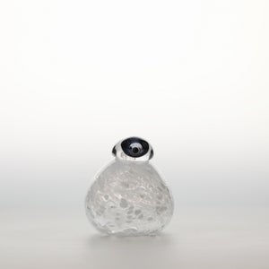 Birds Snow Finch 0031