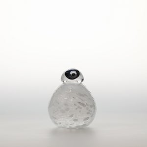 Birds Snow Finch 0032