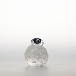 Birds Snow Finch 0038