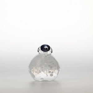 Birds Snow Finch 0039