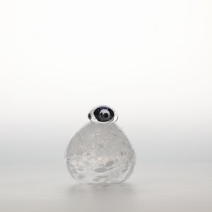 Birds Snow Finch 0040