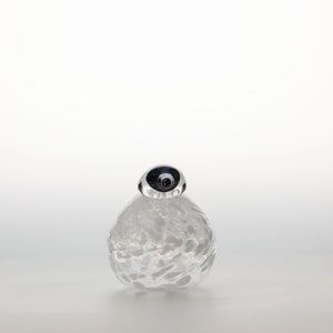 Birds Snow Finch 0041