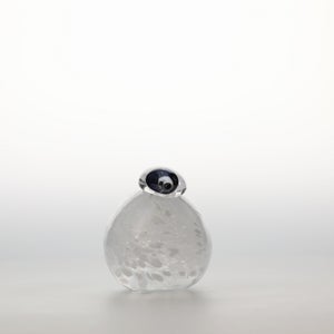 Birds Snow Finch 0042